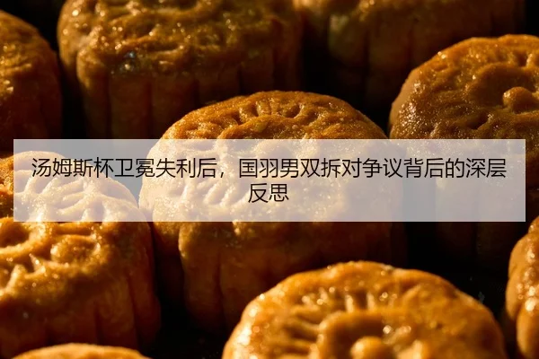 tang-mu-si-bei-wei-mian-shi-li-hou-guo-yu-nan-shuang-chai-dui-zheng-yi-bei-hou-de-shen-ceng-fan-si-2-700.jpg